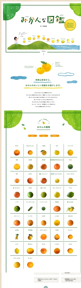 みかん・柑橘のことなら「みかんな図鑑」｜伊藤農園 | DRAWWWERS