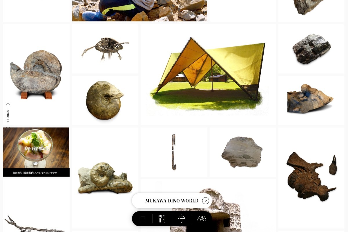 むかわ町 恐竜ワールド 【公式サイト】 ｜ MUKAWA DINO WORLD | DRAWWWERS