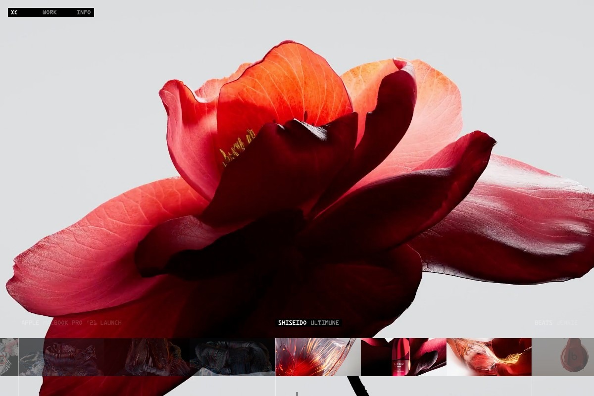 XK Studio | DRAWWWERS