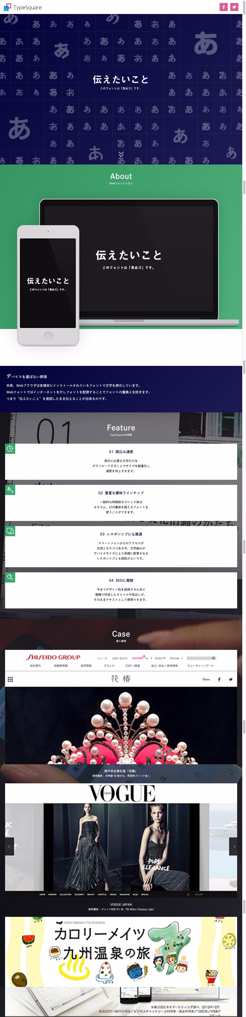 Webフォント TypeSquare [タイプスクウェア] スペシャルサイト | DRAWWWERS