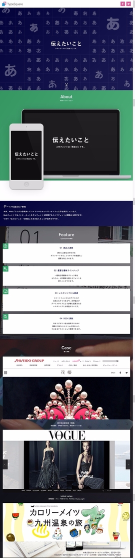 Webフォント TypeSquare [タイプスクウェア] スペシャルサイト | DRAWWWERS