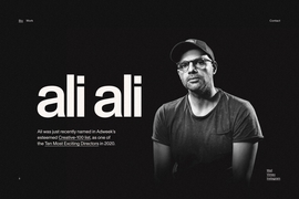 Ali Ali — Biography of Ali Ali (alitwotimes) director from Cairo, Egypt | DRAWWWERS