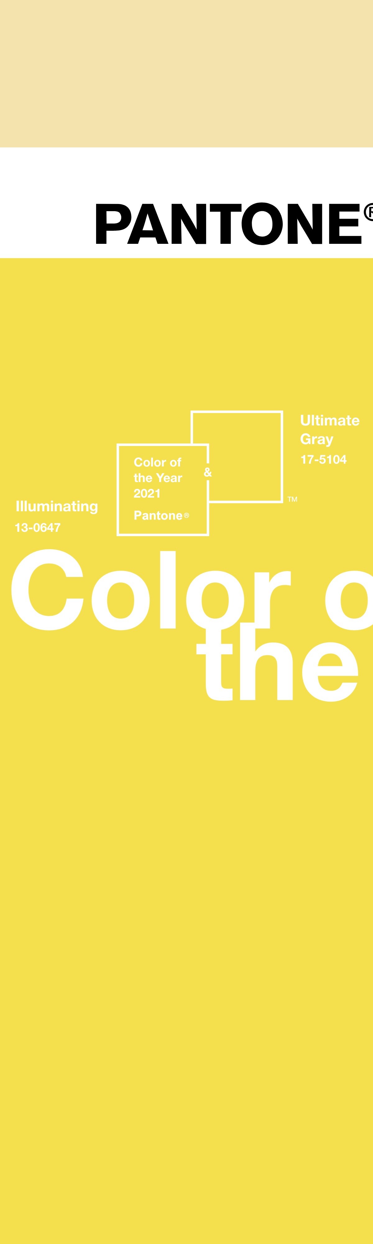 Color of the year 2021 — PANTONE 13-0647 Illuminating + PANTONE 17-5104 Ultimate Gray | DRAWWWERS